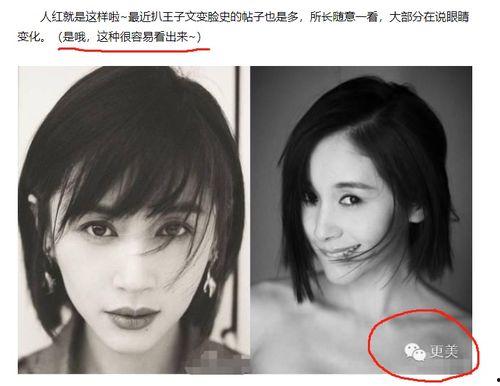 明星黑料最新,明星黑料曝光,真相背后引人深思